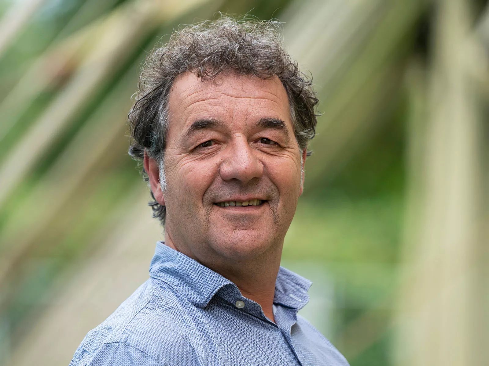 Portret Willem de Leeuw