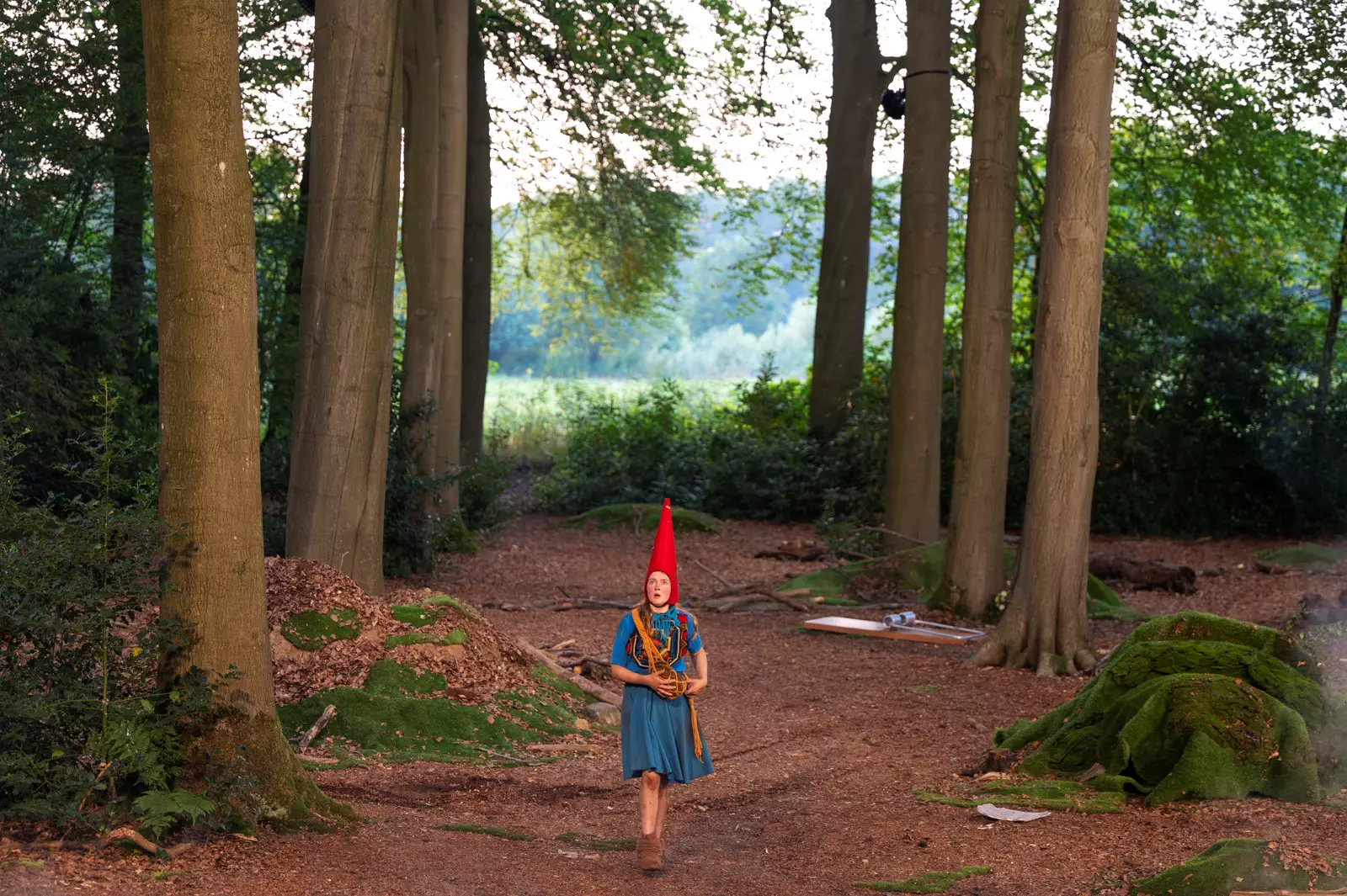 Het Houten Huis - Voor ze verdwijnen