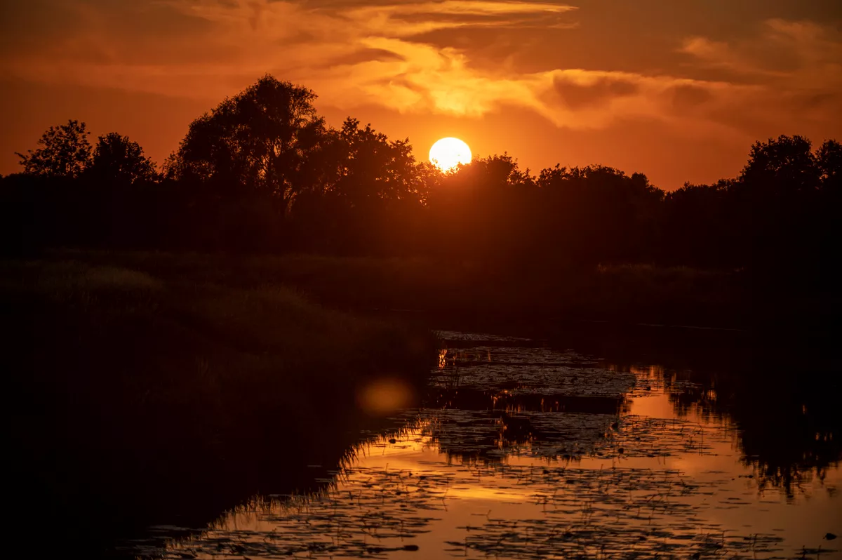Midzomerdans 2020 bij Yell & Yonkers in de tuin